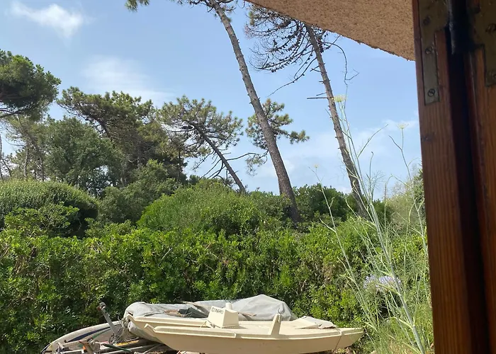 Casa Trecci *